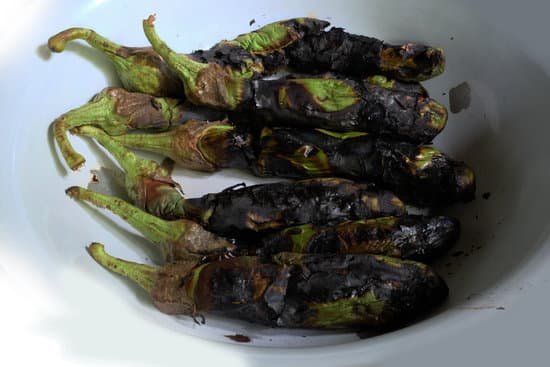 canva roast eggplant MADB8UBU3nQ