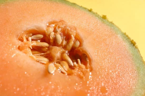 canva rock melon cantaloupe MAED0Tyc3lc