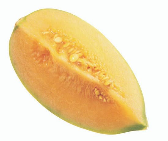 canva sliced cantaloupe