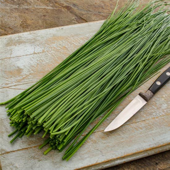 canva slicing fresh chives MAC 1sqmCRo