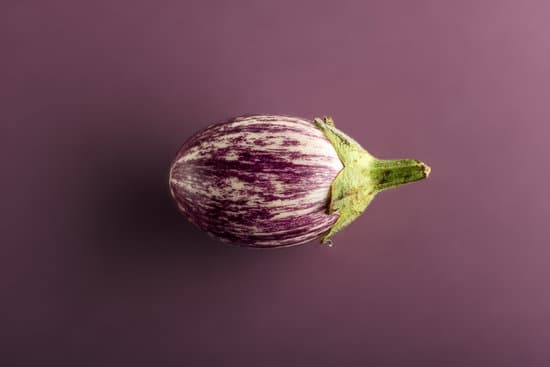 canva small aubergine or eggplant on violet background