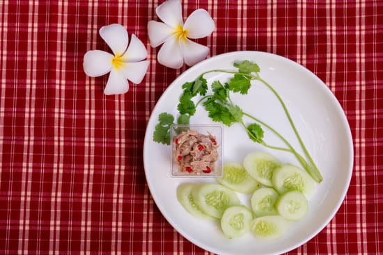 canva spicy tuna salad with sliced cucumber on white plate MAEQ9DbO1Ck