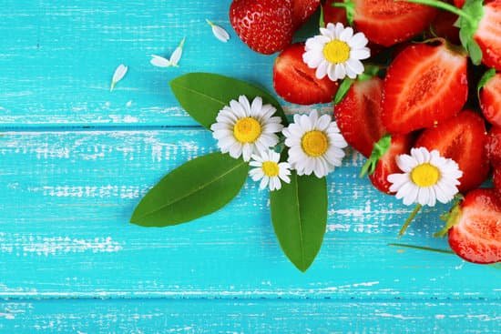 canva strawberries with chamomiles and leaves MAD