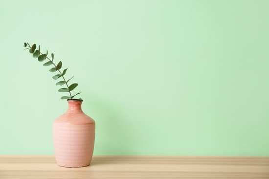 canva stylish vase with eucalyptus on table near green wall MAD7YsfEQEw