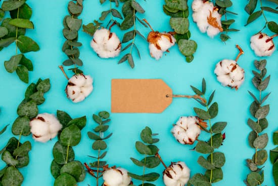 canva tag with cotton and eucalyptus branches MAEPy1MHl0Y