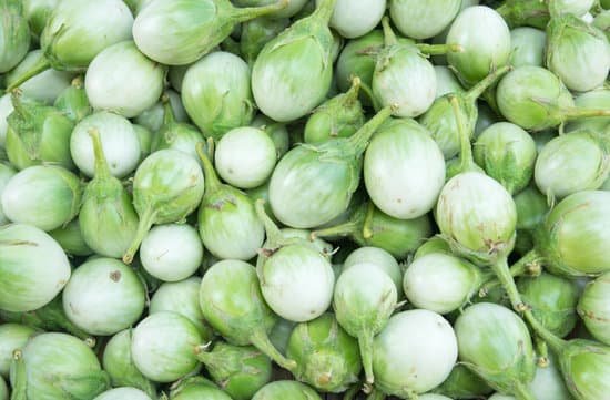 canva thai eggplant chao phaya eggplant MADBUoikwck