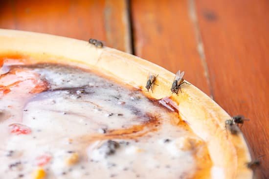 canva the flies that are feeding on a wooden tray. MADmqgkU7Aw