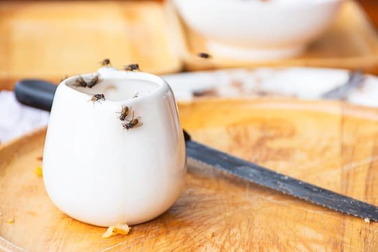 canva the flies that are feeding on the white cup is placed on a wooden tray. MADmqkyBIFE