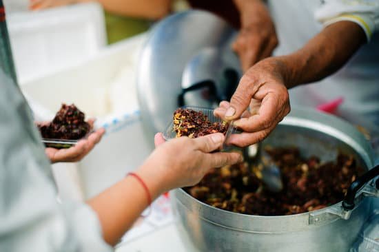 canva the hands of the rich give food to the hands of the poor social problems of poverty helped by feeding concepts problems of life the poor the concept of sharing MADYIv3lOpU