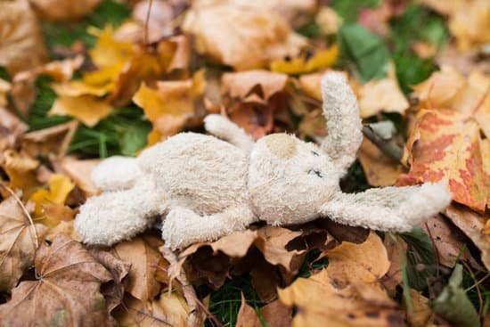 canva toy rabbit in fallen autumn leaves MACJ6nzsvsk