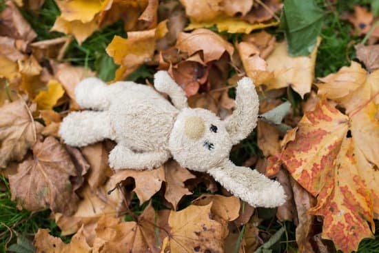 canva toy rabbit in fallen autumn leaves MACJ6sUycuc