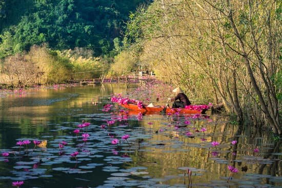 canva traditional boat with blossoming water lily on the river MAEJXjlOQws