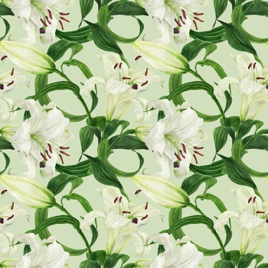 canva tropical floral light green seamless pattern with white lily MAEA3Xxx C0