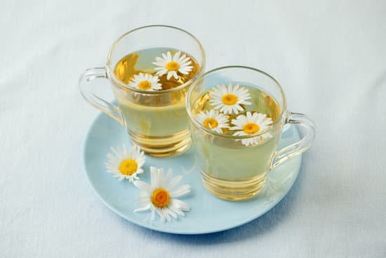 canva two fresh cups of chamomile tea MAD9AC6toIQ