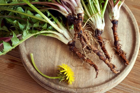 canva uprooted dandelions on a wooden tray MAEkB6IPk s