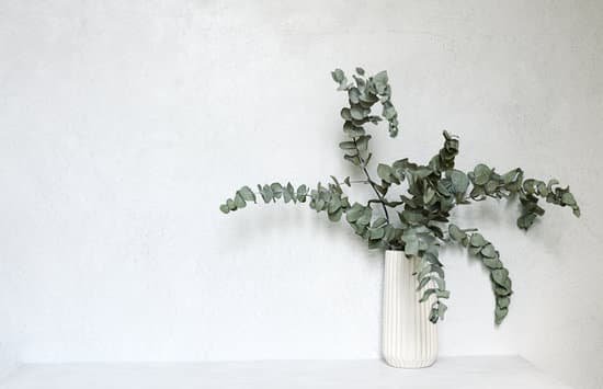 canva vase with eucalyptus leaves MAEDW5D7Zhw