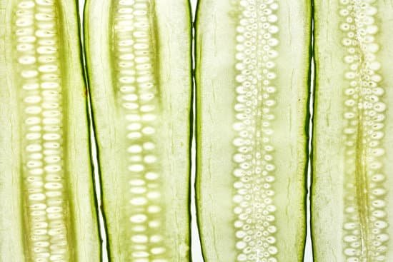 canva vertical cucumber slices MAEGeak9raA