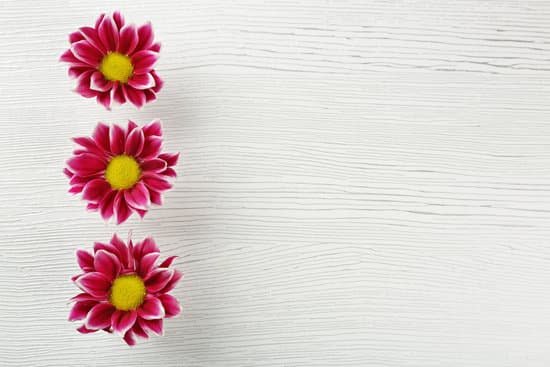 canva violet chrysanthemum on wooden table MAD Q6aJLng