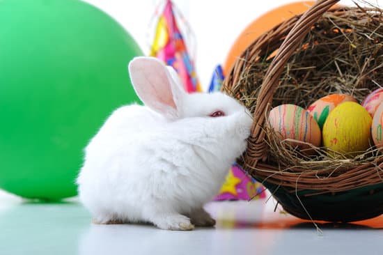 canva white beautiful rabbit MABlBVQah6M