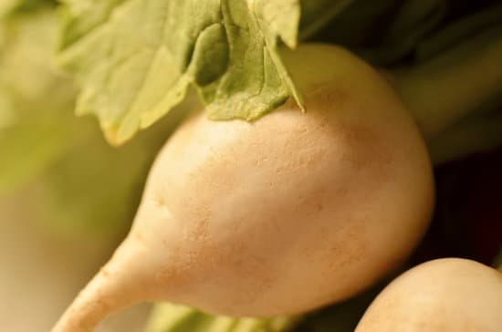 canva white beets MAEEg5XagHo