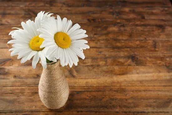 canva white chamomile flowers on wooden table MAD Q4Yw7bM
