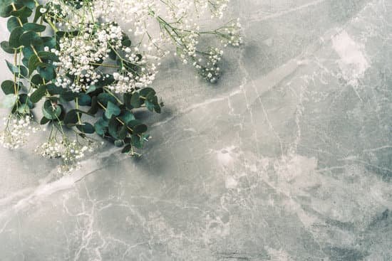 canva white gypsophila flowers and eucalyptus branches on marble background MAEGybYktKw