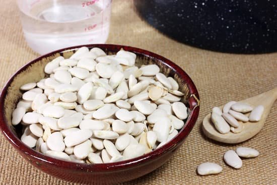 canva white lima beans MAC6RUS6YOg
