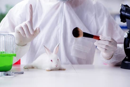 canva white rabbit in scientific lab experiment MACmIq9S QA