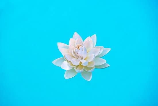 canva white water lily flower isolated on blue background