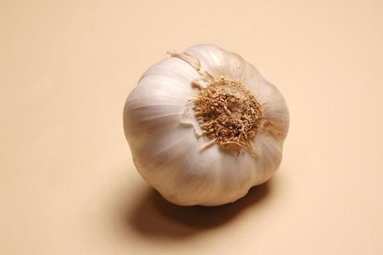 canva whole garlic bulb close up MAD X8w4YY