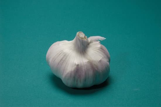 canva whole garlic head on blue green background MAD VLJV c