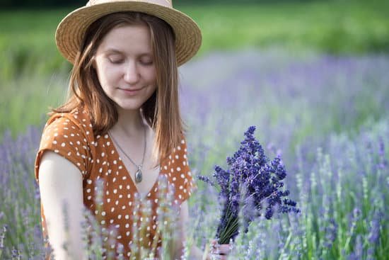 canva woman at the lavender field MAD htVGV5M