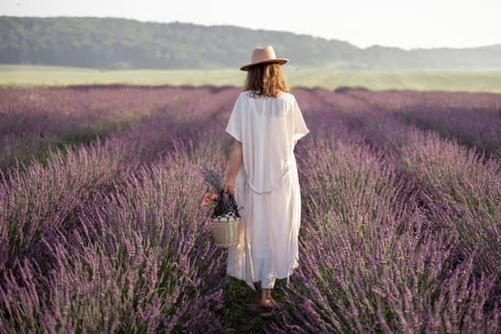 canva woman enjoying blooming of lavender field MAElbKOChOM