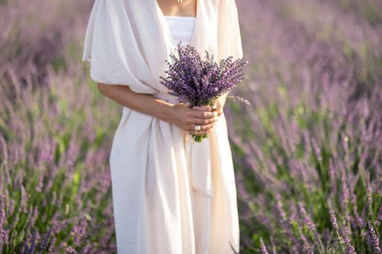 canva woman holding bunch of lavender flowers MAElbMB rHk