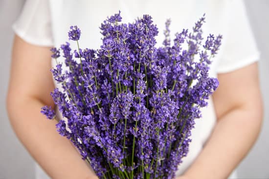 canva woman holding lavender bouquet