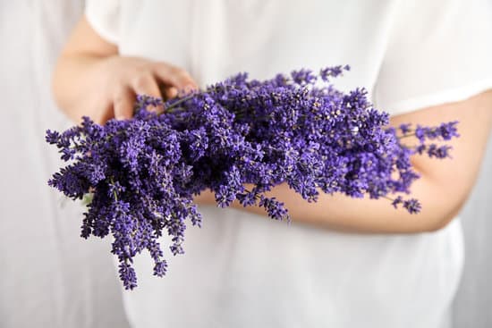 canva woman holding lavender bouquet