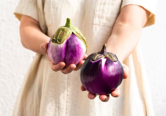 canva woman holding purple round eggplant MAERQrMUEvQ