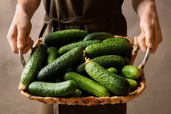 canva woman holding wicker with many green fresh cucumbers MAD9bt Lt Y