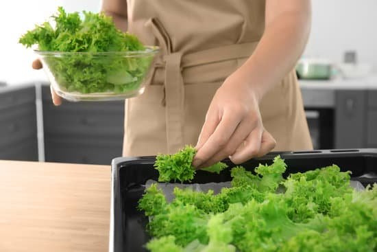 canva woman preparing lettuce chips at table in kitchen MAD9T039atM