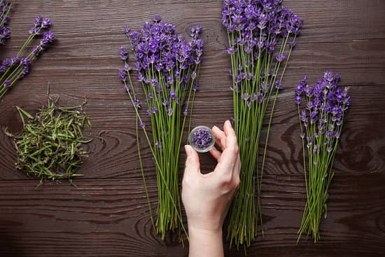 canva woman sorting lavender buds