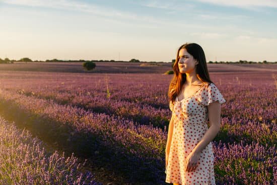 canva woman standing at the lavender field MAED9pTFbZ8