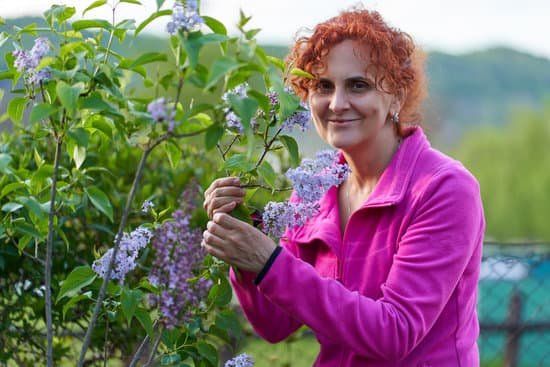 canva woman standing beside a lilac plant MAD7jJcDmYM