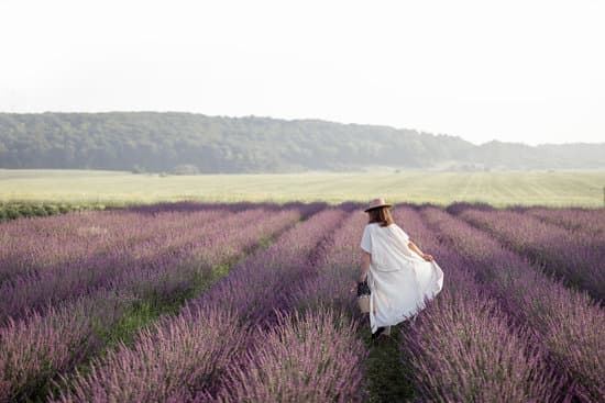canva woman walking in a lavender field MAElbDQVJu0