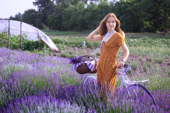 canva woman with a bicycle on a lavender field