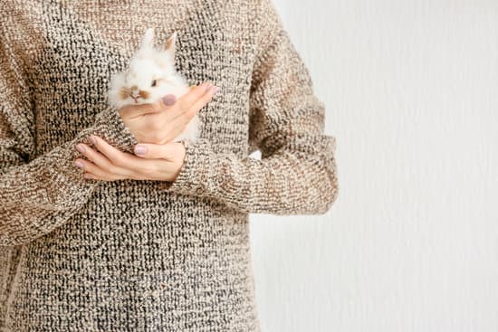 canva woman with cute rabbit on light background