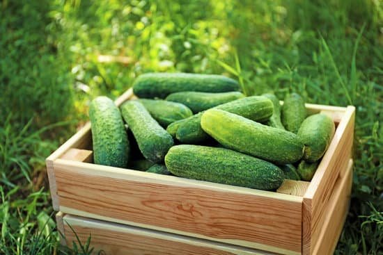 canva wooden crate with fresh cucumbers on grass MAD9T3bvIa8