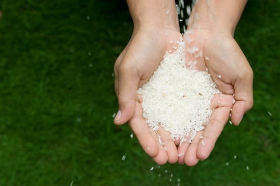 canva world hunger relief MAED8by0nFs