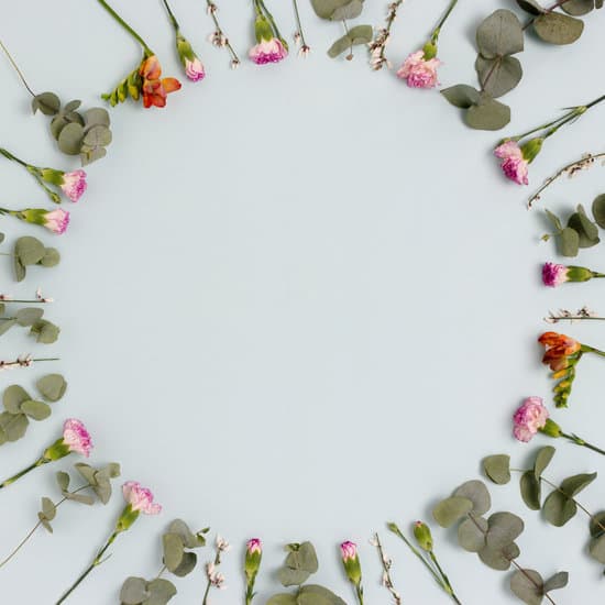 canva wreath frame made of eucalyptus leaves branches and flowers flatlay MAEN275aXOw