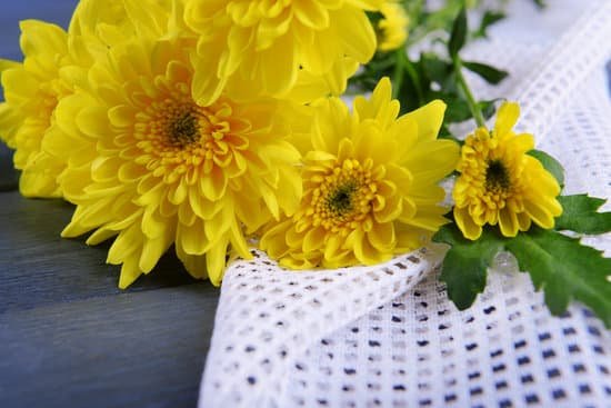 canva yellow chrysanthemum on napkin MAD MfiOqNg