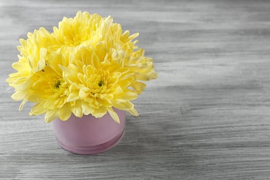 canva yellow chrysanthemum on wooden table MAD Qyeay w